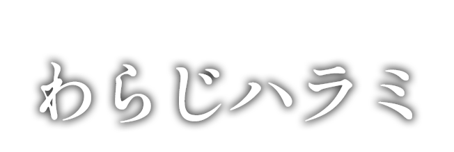 これすけ名物わらじハラミ